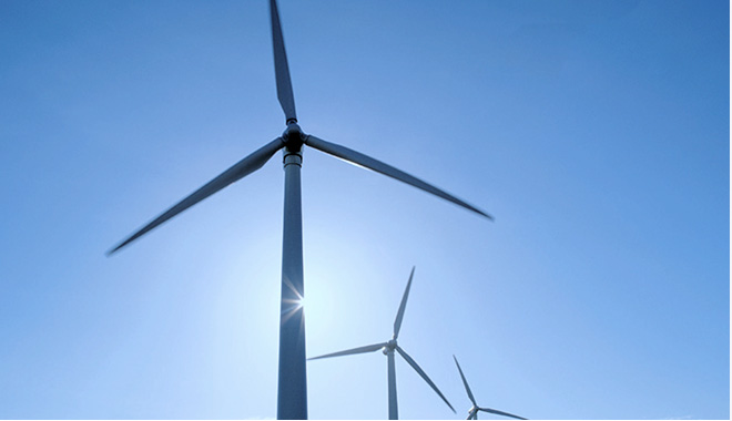 news_ny_202011242055